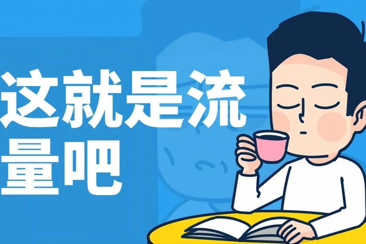 流量獲取指南，或許這就是流量吧!